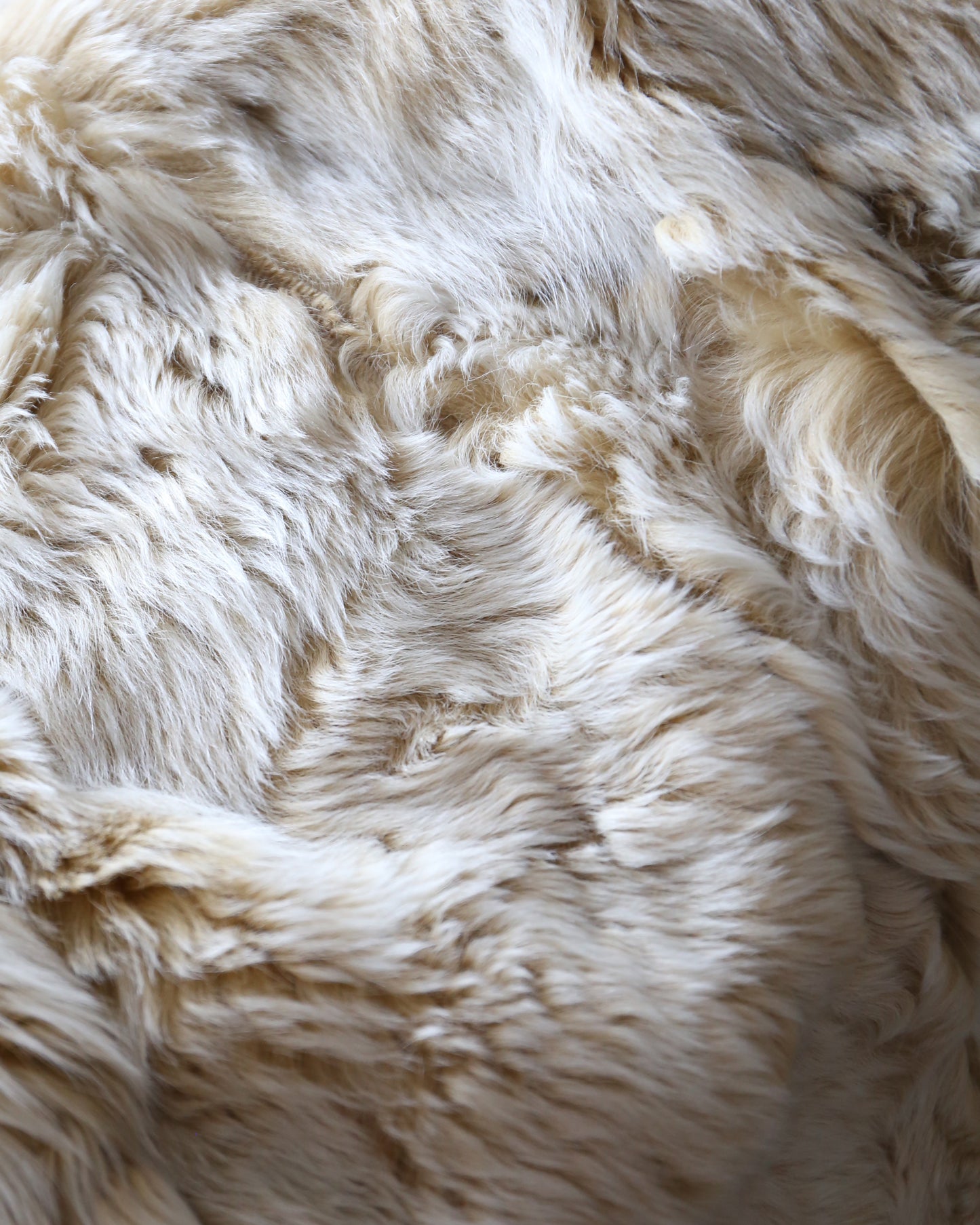 Roberto Cavalli Fall 2001 Fur Jacket