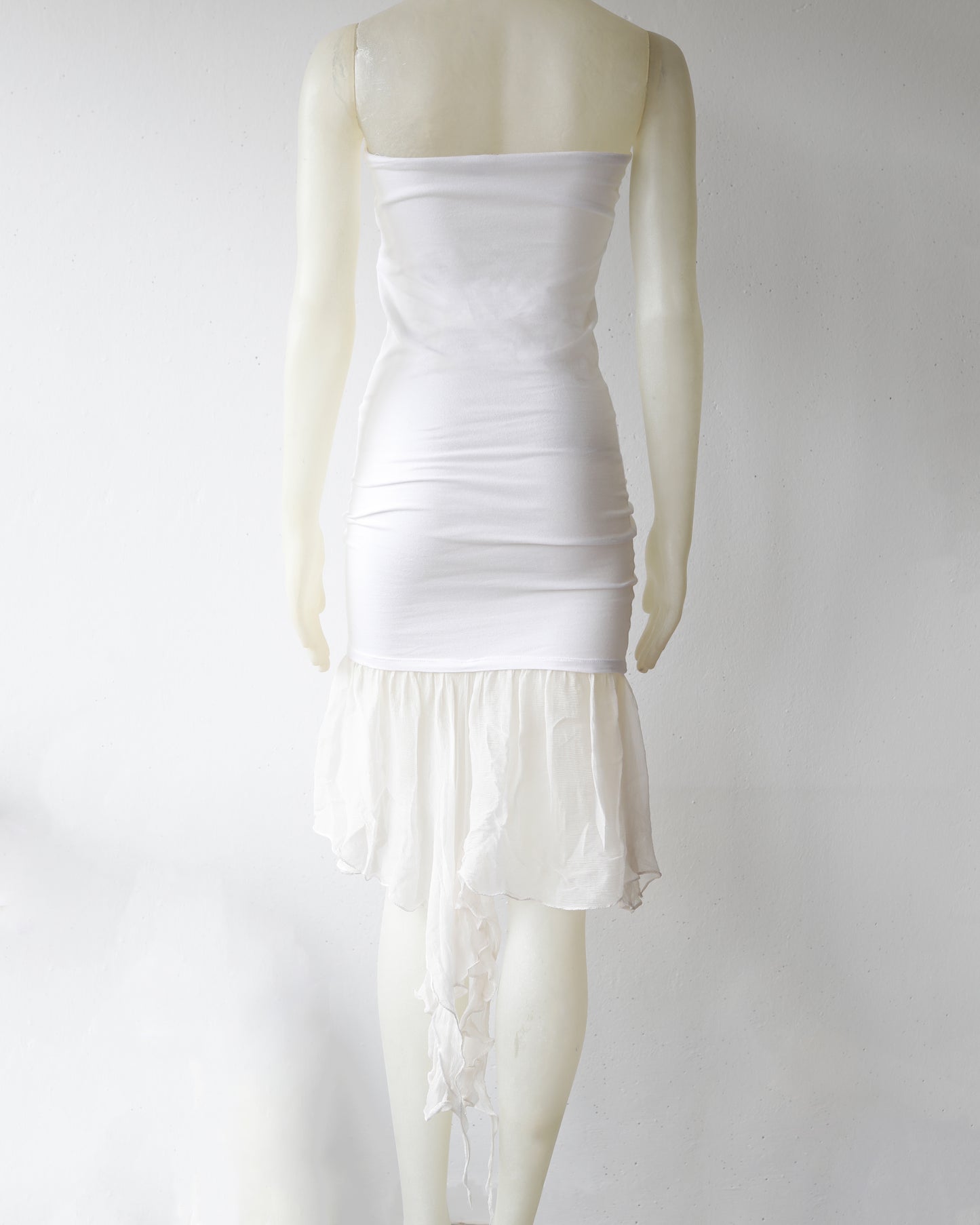 D&G Spring 2003 Rome Tube Runway dress with “Capitoline wolf” Print